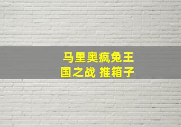 马里奥疯兔王国之战 推箱子